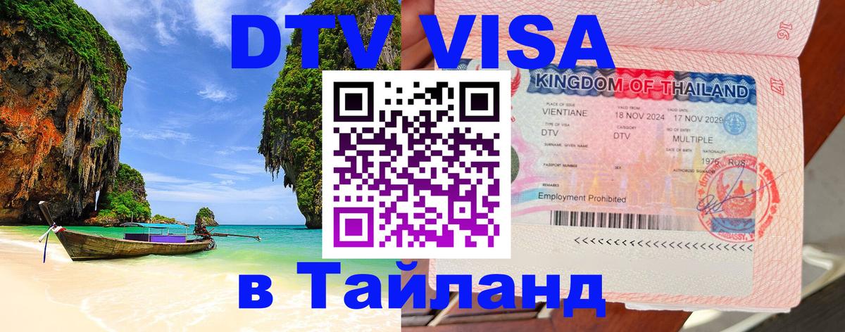 Сколько стоит DTV виза — актуальные цены, оформление даже без документов - Бийск 